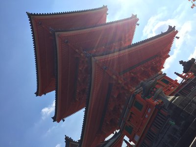 写真たくさん。 - 画像2