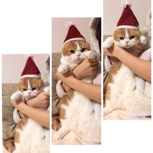 サンタさんだぞ〜(´･ω･`) - 画像1