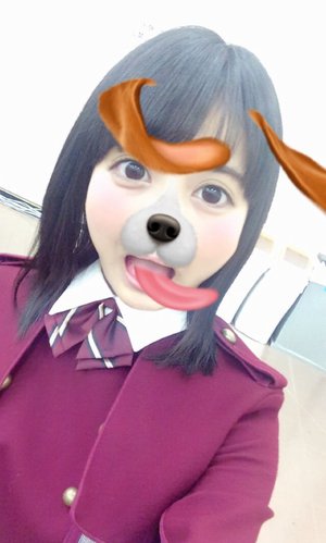 ポップ - 画像1