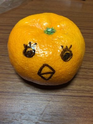 2017〜279〜 - 画像4