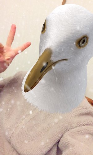 オレガノ - 画像1