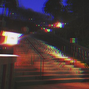 オレガノ - 画像3