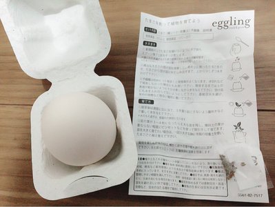 たまごの観察日記? - 画像3