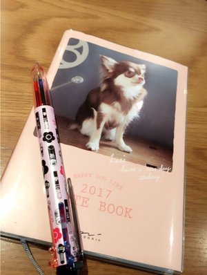 虹花からメールです\ ♪♪ /1がつ12にち - 画像1