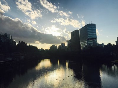 いたい。 - 画像2