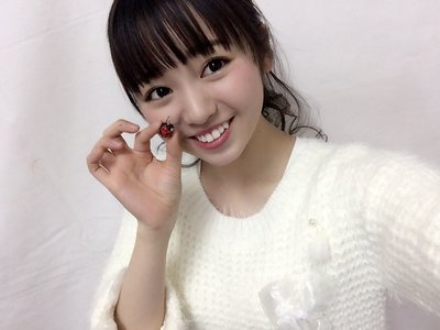 てんとう虫と蝶々。 - 画像4