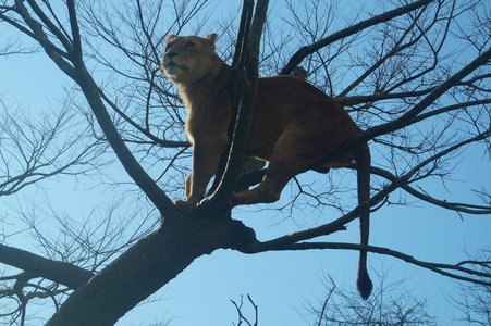 鳩を見ていたら。 - 画像2