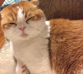 息子の嫁にしたい選手権！ - 画像2