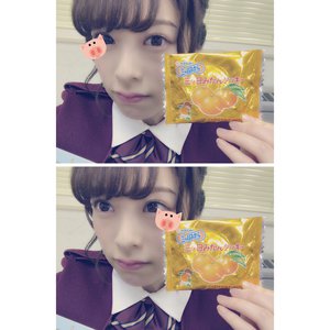 ．三ヶ日❁396 - 画像1