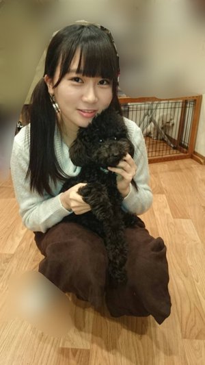 o(・x・U 。)ワンコに会ってきました - 画像2