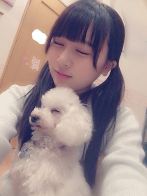 o(・x・U 。)ワンコに会ってきました - 画像3