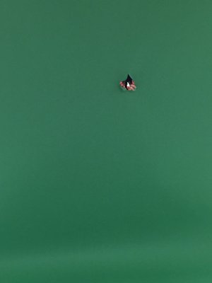 オダナナとビリビリ(　˙-˙　)❁407 - 画像1