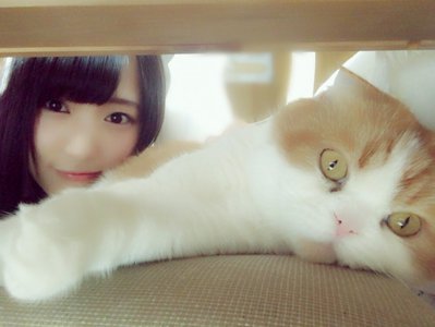 にゃー - 画像1