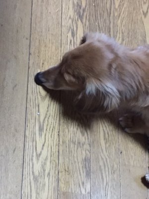 変われ、今だ自分〜290〜 - 画像2