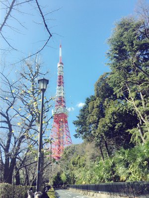 なかまたち - 画像4