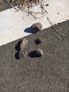 ひみつ。のサムネイル