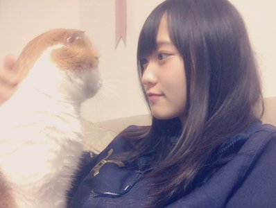 にゃんこの日 - 画像1