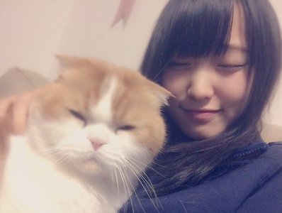にゃんこの日 - 画像2
