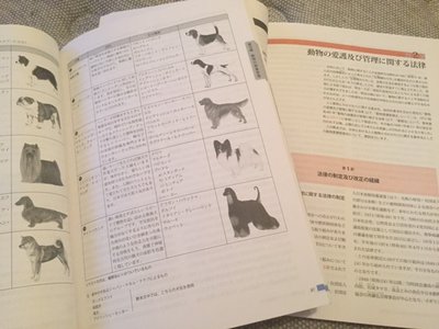 虹花からメールです\ ♪♪ /楽しくねっ☺︎のサムネイル