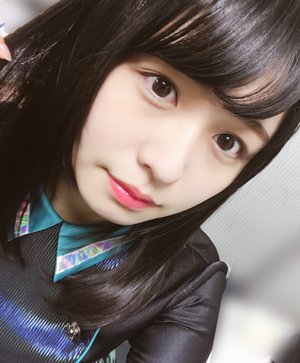 猫、172のサムネイル