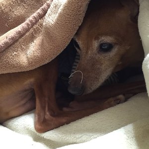 数秒後に。のサムネイル