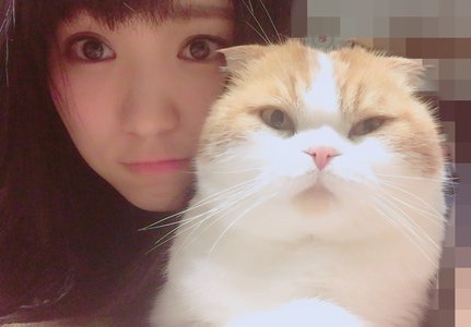 はらぺこトムにゃん - 画像1