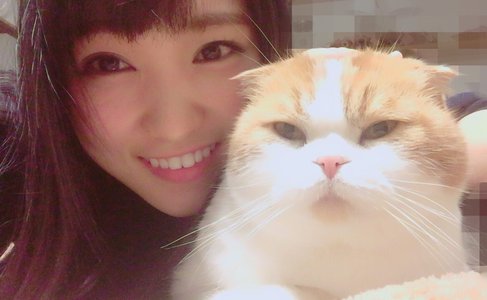 はらぺこトムにゃん - 画像2