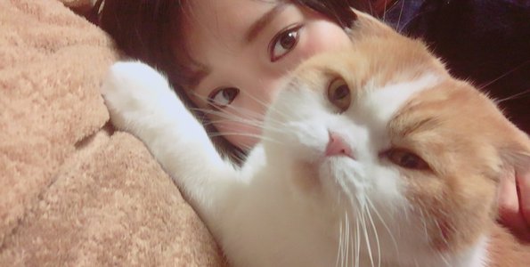 はらぺこトムにゃん - 画像4