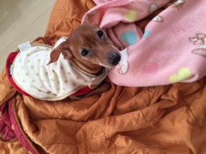 誘惑。のサムネイル
