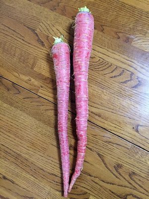たこ焼きはカリカリしているものよりもふにゃっとしていて崩れかかっているものの方が好きですのサムネイル