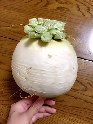 たこ焼きはカリカリしているものよりもふにゃっとしていて崩れかかっているものの方が好きです - 画像2