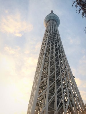 水菜、14のサムネイル