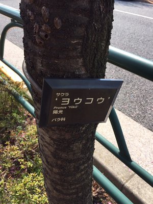 無題。 - 画像4