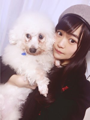虹花からメールです\ ♪♪ /個人PV☀︎のサムネイル