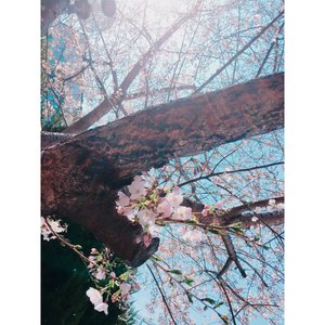 見つけた。のサムネイル