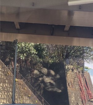 46! - 画像1