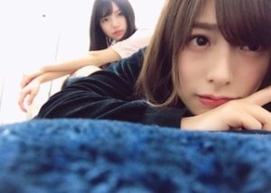 Stella Lou（462） - 画像4