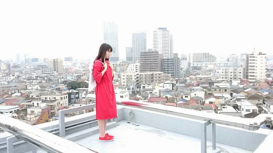 梅 - 画像3