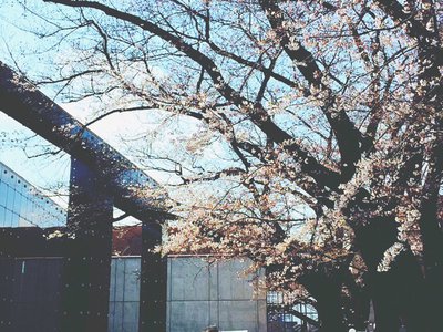 当たり前ってすてきなこと。 - 画像3