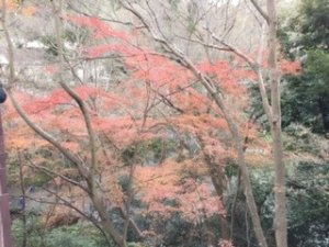 シュークリームの中身がカスタードでも生クリームでもないプリンのものを食べました - 画像4