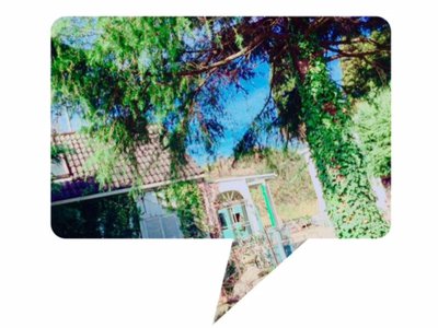 進撃の土生 - 画像3