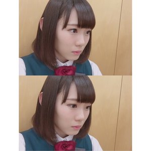 なーこ、なーこ。 - 画像2