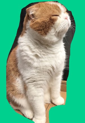ゴールデンウィーク！ - 画像2