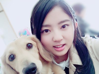 明けましておめでとうございます - 画像3