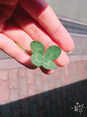 虹花からメールです\❤︎/ - 画像3