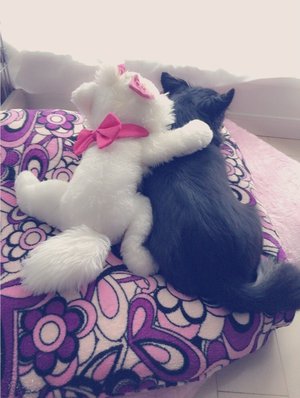 虹花からメールです\❤︎/実は…U•ω•U - 画像2