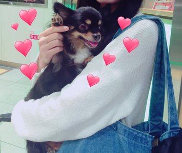虹花からメールです\❤︎/実は…U•ω•U - 画像5