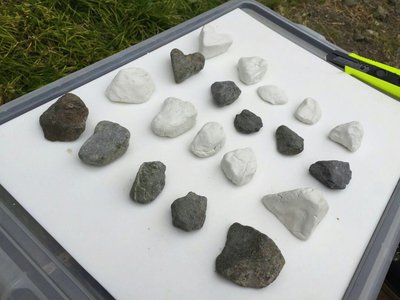 富士山、199のサムネイル