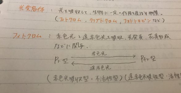 イメージするとよき……?のサムネイル