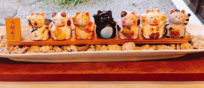 七福猫 - 画像2